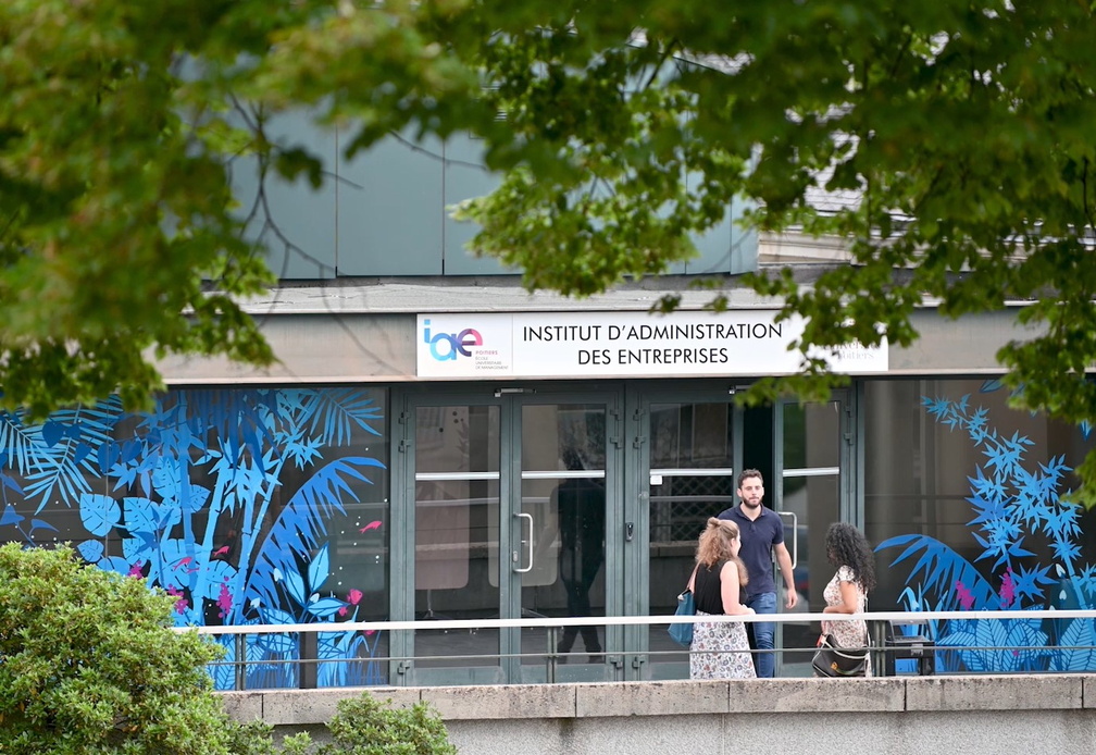 iae plan lointain.jpg