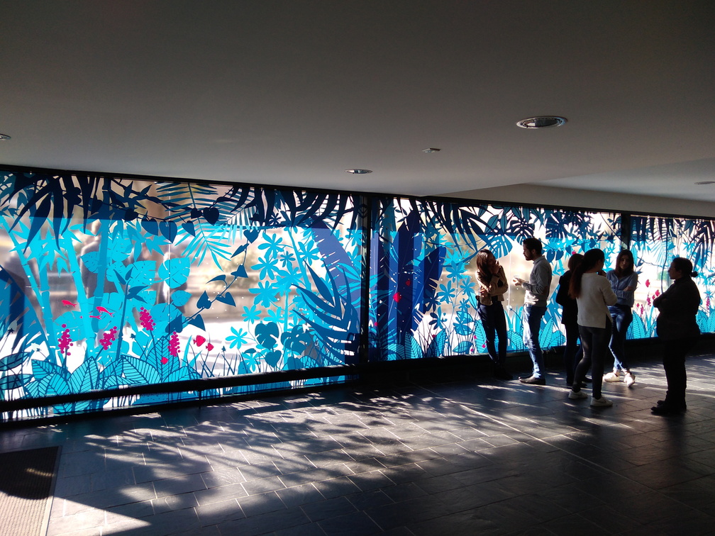 vitrophanie (42).jpg