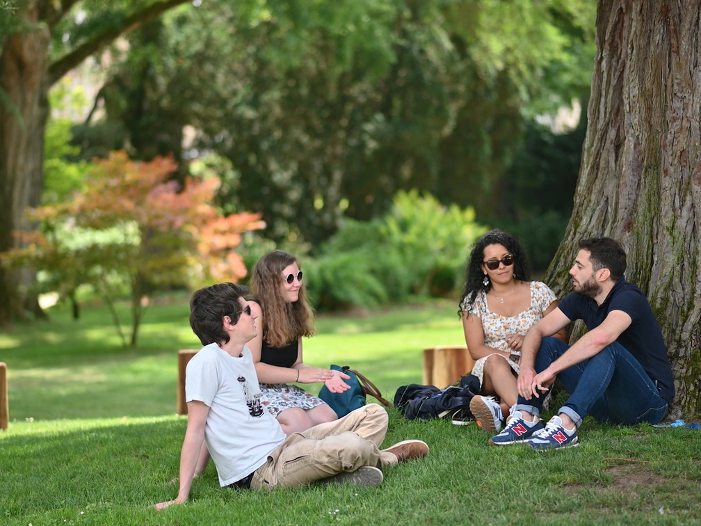 personnel de l&#039;iae