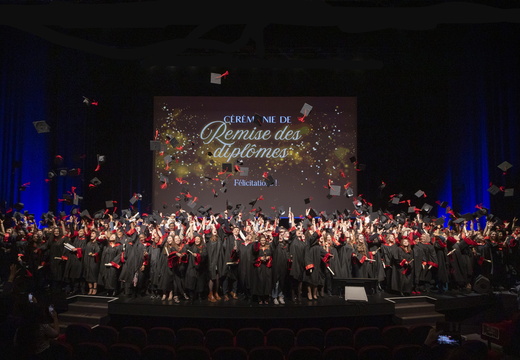 RDD-IAE-2024 17-43-08-1 (1)